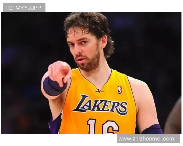 枸杞篮球明星的传奇之路与健康生活的完美结合