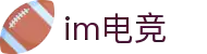 IM(股份有限公司)电竞-电子竞技平台